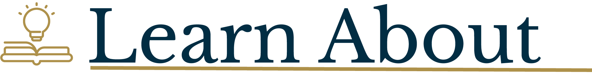 Blue Book with light bulb icon