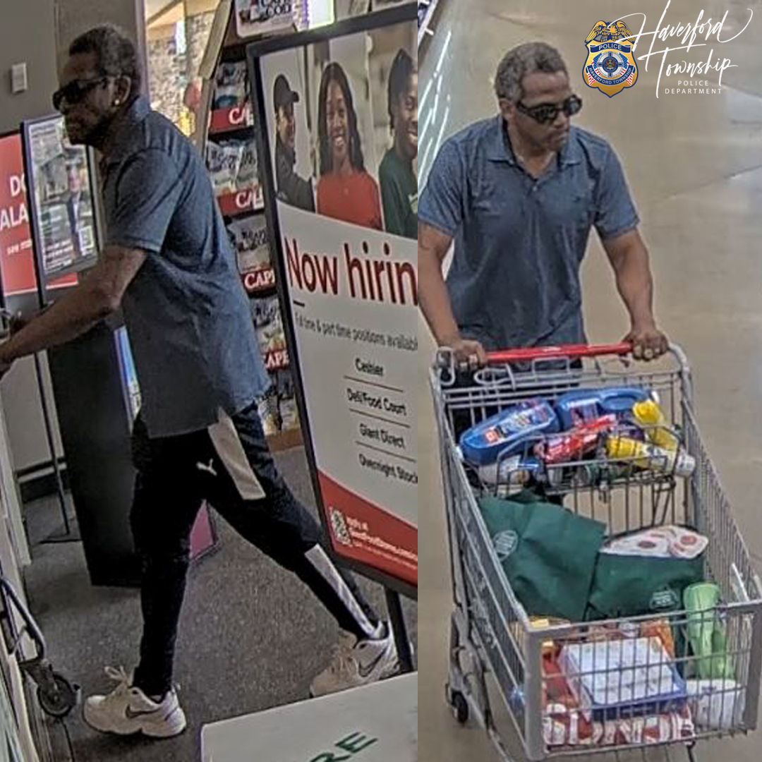 Gaint Theft - Case #24-011566