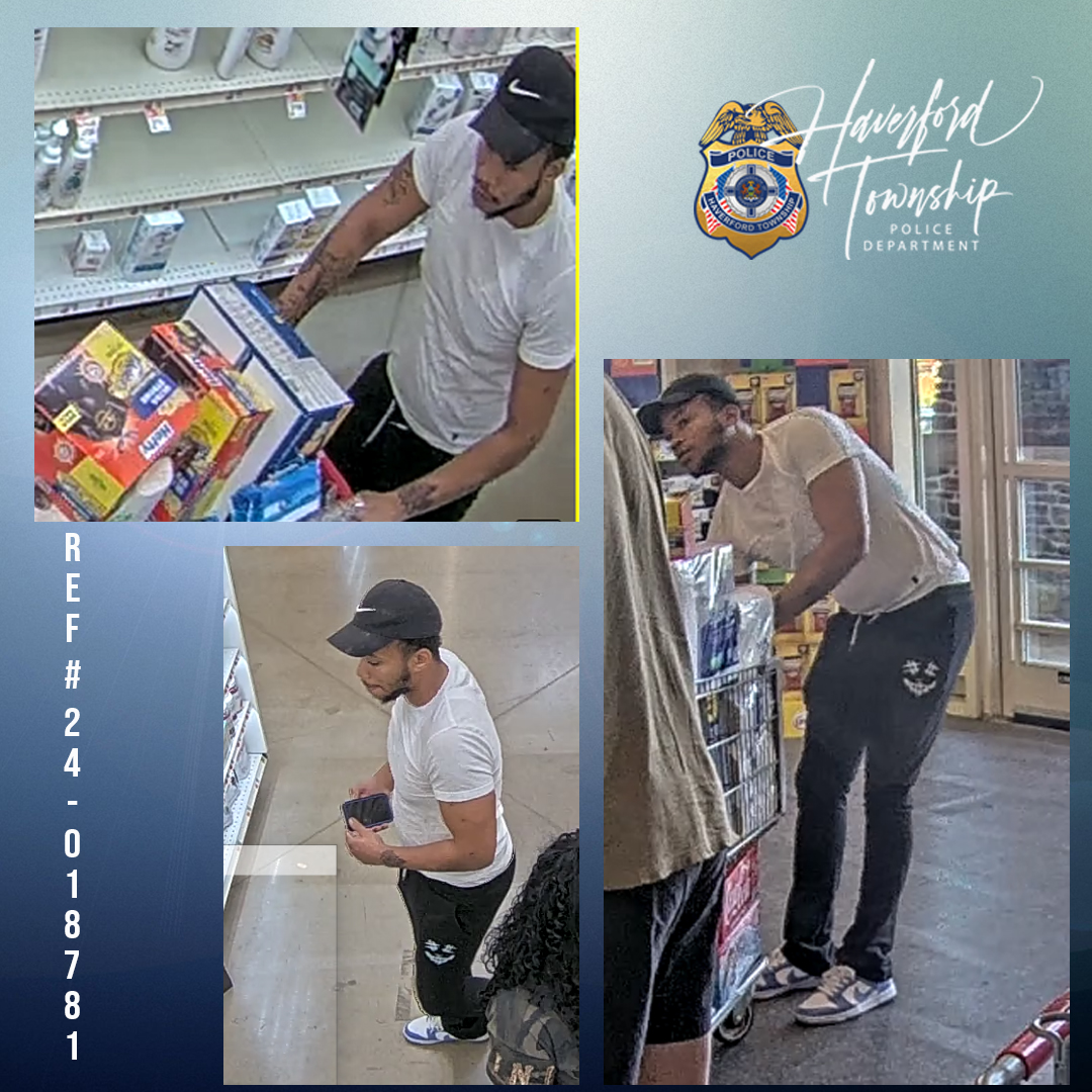Giant Theft - Case #24-018781