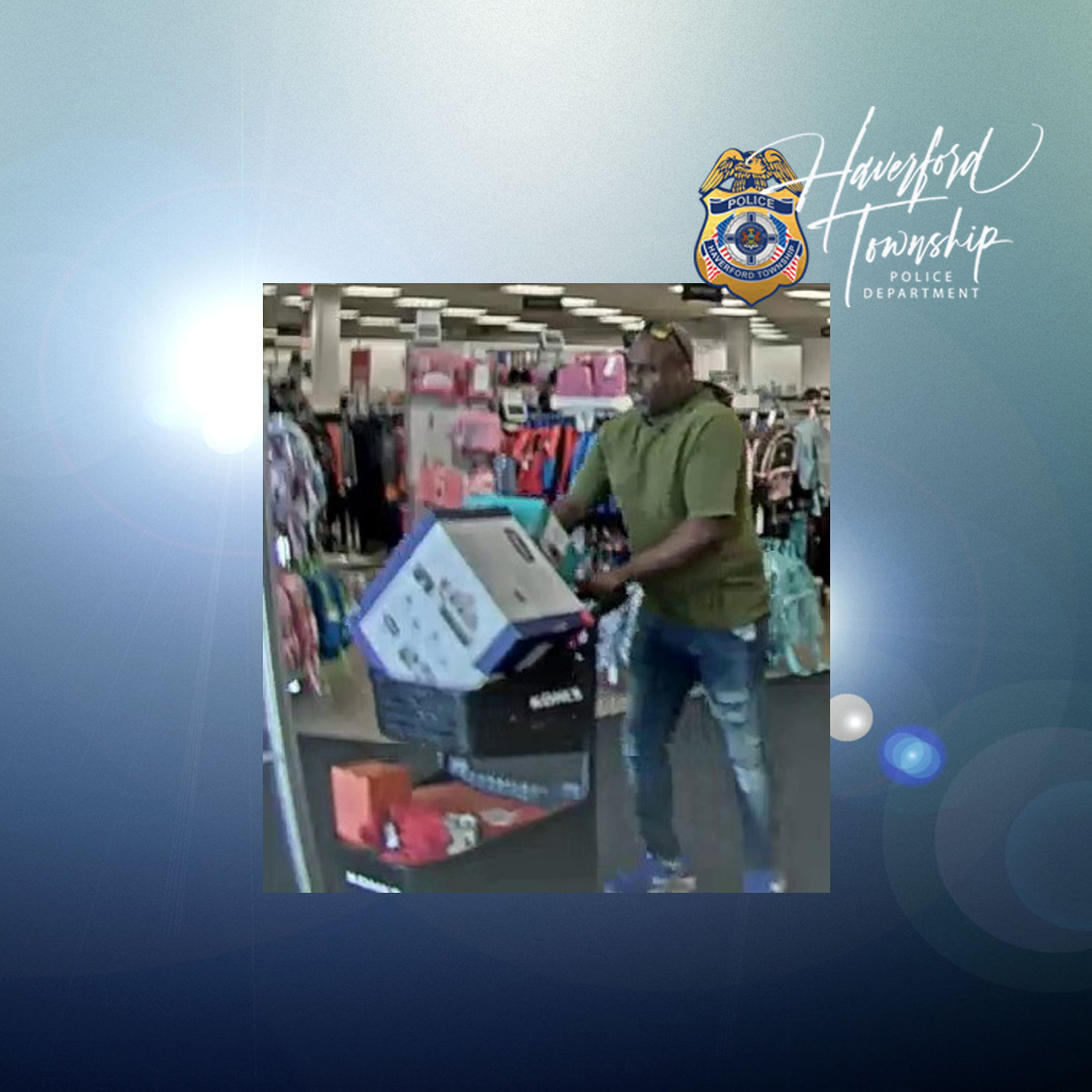 Giant Theft - Case #24-018806