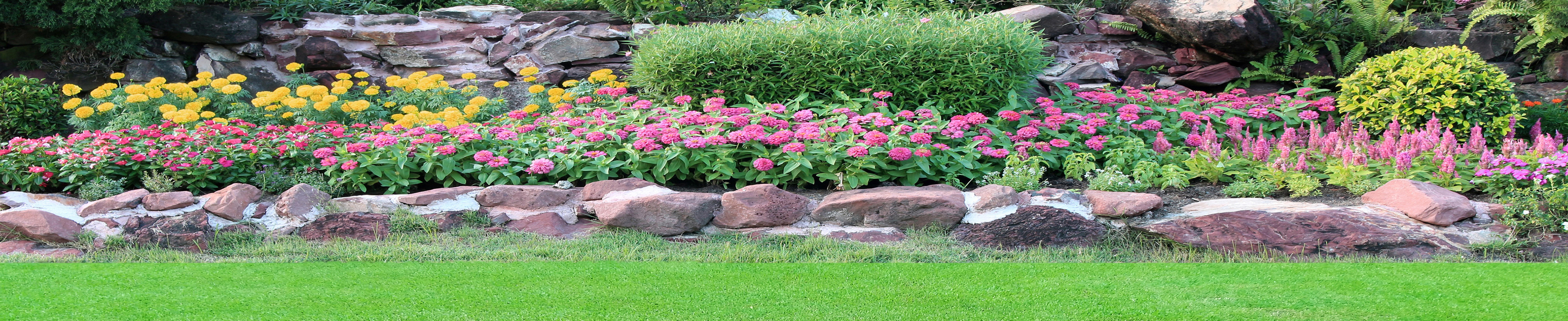 Click here for Online Payments Link